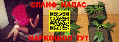 ALPHA PVP Заволжье