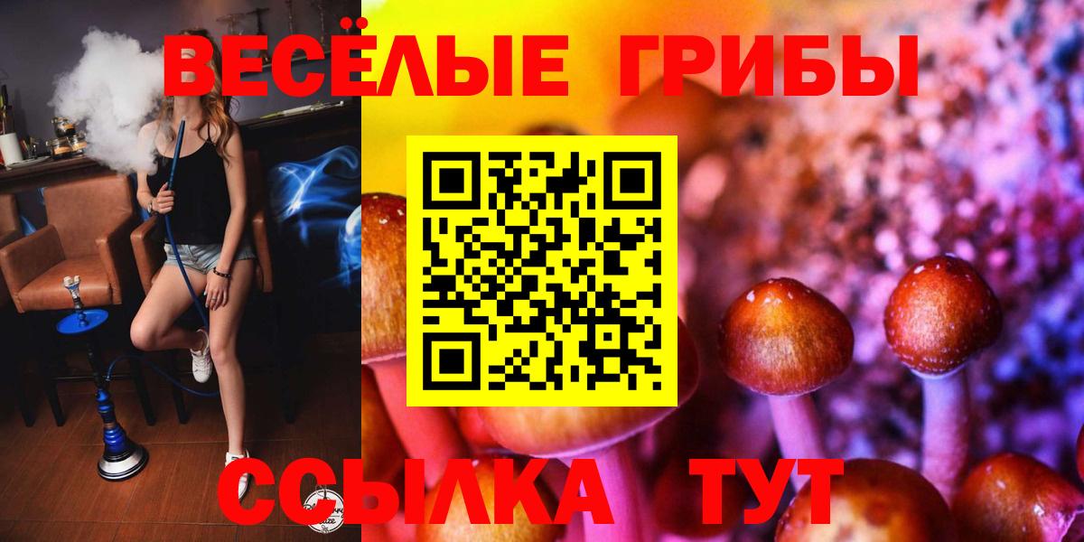 наркотики  Псилоцибиновые грибы ЛСД  Галлюциногенные грибы Magic Shrooms  Вход с VPN  Малгобек 